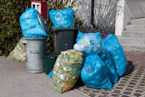 Central London homeowner enjoying a well-maintained garden